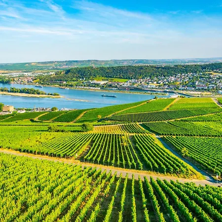 Labed - Exklusives Wohnen Im Weingut, Zentral Und Stilvoll Lejlighed Rüdesheim am Rhein