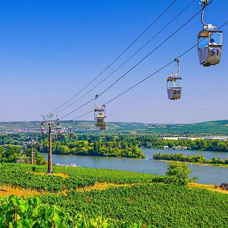 Labed - Exklusives Wohnen Im Weingut, Zentral Und Stilvoll Lejlighed *