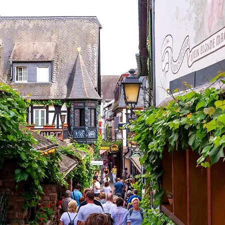 Weingut | Exklusiv | Modern | Zentrale Lage | 2Sz Rüdesheim am Rhein