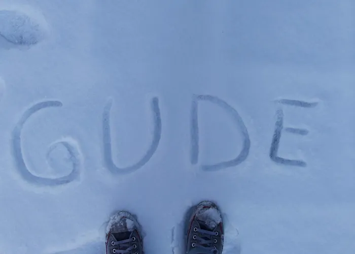 Labed - Exklusives Wohnen Im Weingut, Zentral Und Stilvoll Apartmán *