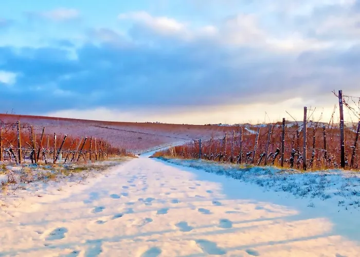 Labed - Exklusives Wohnen Im Weingut, Zentral Und Stilvoll Apartmán Rüdesheim am Rhein