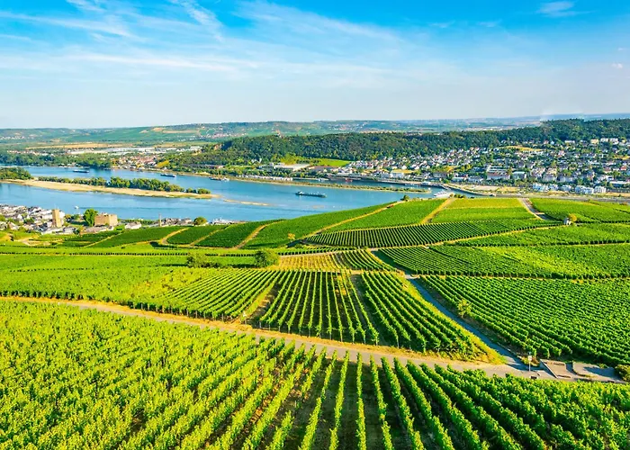 Labed - Exklusives Wohnen Im Weingut, Zentral Und Stilvoll Apartmán Rüdesheim am Rhein